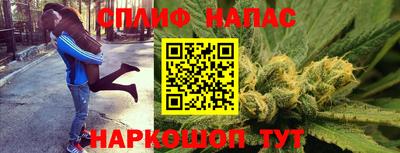 spice Бийск