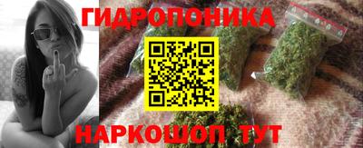 ГАЛЛЮЦИНОГЕННЫЕ ГРИБЫ Берёзовский