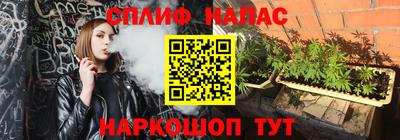 ГАЛЛЮЦИНОГЕННЫЕ ГРИБЫ Берёзовский