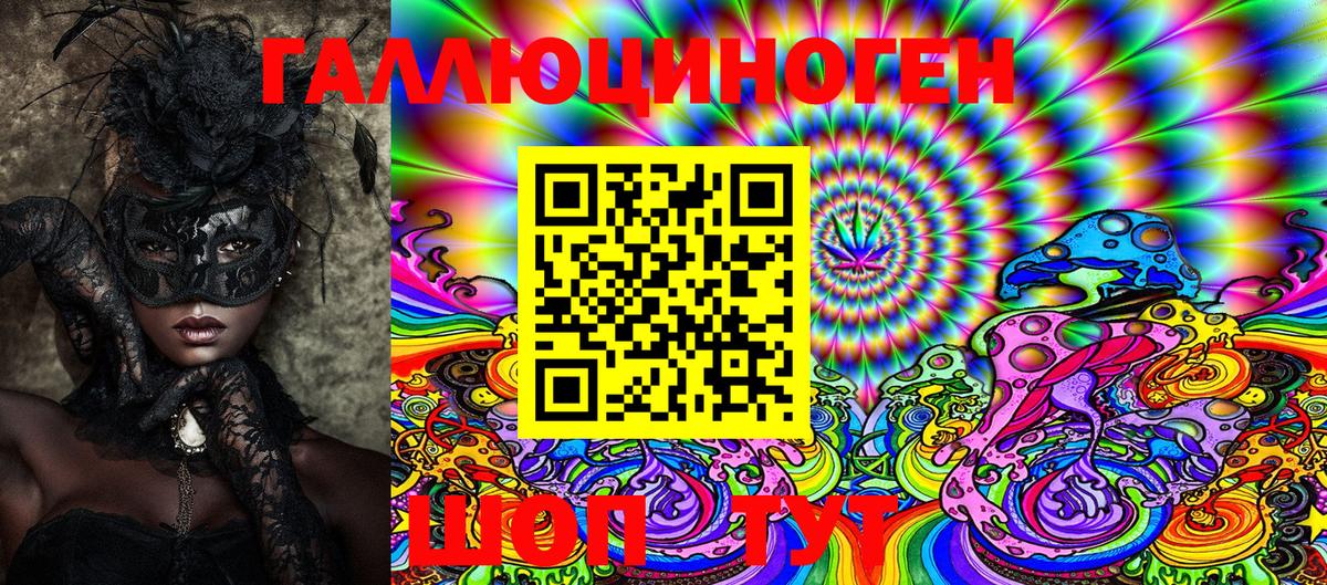 Псилоцибиновые грибы Psilocybine cubensis Дербент